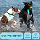 Medt - LED Rechargeable Dog Collar Lights, 2-Pack, RGB Colors, Super Bright