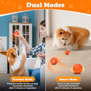 Barrgalin - Smart Automatic Bouncing Dog Toy with Motion Activation & Flash Lights