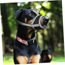 Corhad - Adjustable Breathable Mesh Dog Muzzle for Vet Visits & Grooming