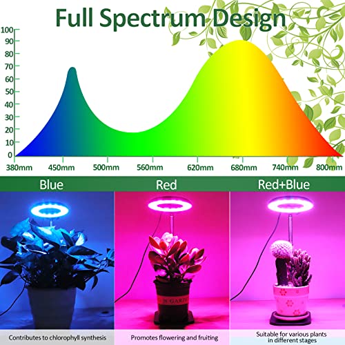 AKRRYR - Full Spectrum LED Plant Light with Adjustable Height and Timer