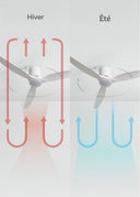 CREATE Wind Calm Slim Ceiling Fan with white light and remote control