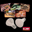 Hobby - Elstein Heater IOT/75, 60W Ceramic Infrared for Reptiles, 8000+ Hours