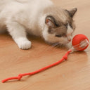 Shop the Interactive LED Cat Toy Ball with Tail Rope. Perfect for engaging cats and small dogs, this automatic teaser promotes exercise and playtime.