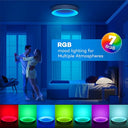 Matane - Dimmable LED Ceiling Light 24W with Remote, 3000K-6500K Color Range