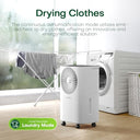 Conopuplus - 12L/day Dehumidifier with Continuous Drain, Auto Mode & Sleep Timer
