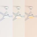 CREATE Ceiling Fan with White Light and Copper AC Motor
