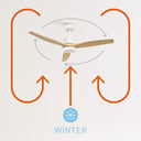 CREATE Natural Wood Ceiling Fan with Wifi and Remote
