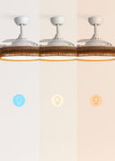 CREATE Wind Clear Ceiling Fan with White Light and Braided Wicker