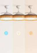 CREATE Wind Clear Ceiling Fan with White Light and Wicker Knot