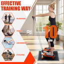 ZEMBSOYA 2 in 1 Stepper with Stand and Elastic Cord