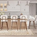 Daluvenix Counter Height Bar Stools - Set of 2 with Swivel and High Back