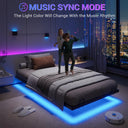 DICTAC Modern Metal Bed Frame with LED Lighting