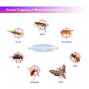 AUROHOPE - FSL BL T5 6W Fly Killer Replacement Bulbs - 9in UV Tubes 2-Pack