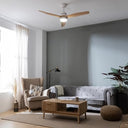 Cecotec - Ceiling Fan with Light, 40W DC Motor, Remote Control, Timer