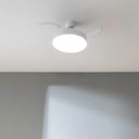 Cecotec - EnergySilence Aero 4200 Ceiling Fan with Retractable Blades, 30W DC Motor, Remote Control, 6 Speeds