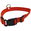 Keep your dog safe with the ChiliTec LED Dog Collar featuring a sturdy clip and metal ring. Available in sizes S-XL, perfect for nighttime walks. Keywords: LED dog collar, safety light, sturdy clip