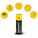 Intenso - Ultra AA Alkaline Batteries Pack of 10, Multi-Purpose, Long-Lasting Power