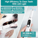Jellytree - Dog Plaque & Tartar Remover Kit with LED Light, 5 Cleaning Modes