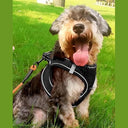 Joytale - Breathable Mesh Step-in Dog Harness, Reflective, Soft Padded, Black L