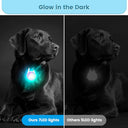 Medt - LED Rechargeable Dog Collar Lights, 2-Pack, RGB Colors, Super Bright