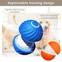 Pakesi - Interactive Dog Toy, Durable Bouncing Ball, USB Rechargeable, Fun for Small & Medium Dogs