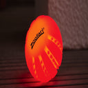 Zoofari - Luminous Led Ball For Dogs